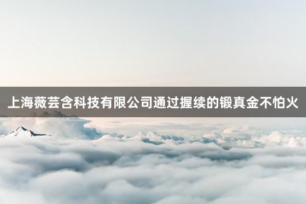 上海薇芸含科技有限公司通过握续的锻真金不怕火